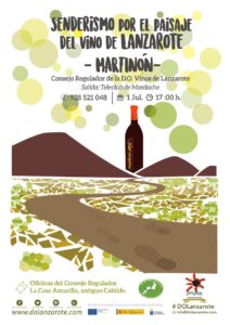 Senderismo por el paisaje del vino de Lanzarote Bodegas Martinon