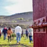 Ruta-de-senderismo-por-La-Geria-paisaje-del-vino-de-Lanzarote-marzo-2018-Bodegas-Rubicón
