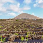 Ruta-de-senderismo-por-el-paisaje-del-vino-de-Lanzarote-abril-2018-Bodegas-Guiguan