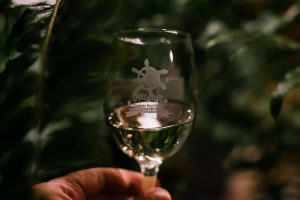 Añada 2019 Consejo Regulador Vinos de Lanzarote