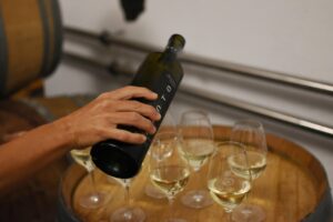 Sendero por La Geria Semana Malvasía 2020 de los Vinos de Lanzarote