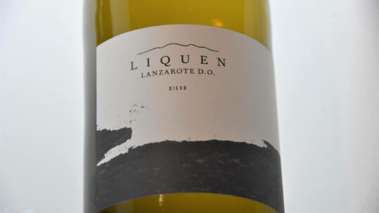 Presentación nuevo vino Liquen Bodega Vulcano de Lanzarote