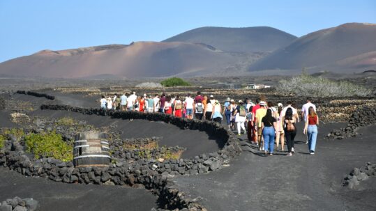El Consejo Regulador de la Denominación de Origen Protegida (DOP) Vinos de Lanzarote celebrará del 3 al 9 de noviembre la undécima edición de la Semana Malvasía, un evento que convierte la isla en un escenario para vivir el vino a través de los sentidos.
