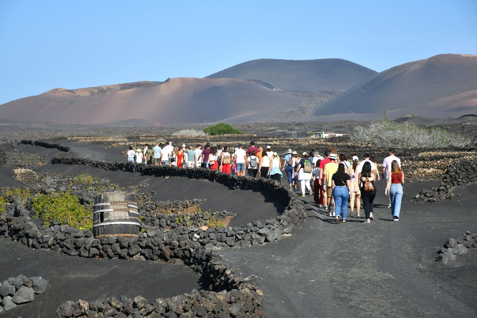 El Consejo Regulador de la Denominación de Origen Protegida (DOP) Vinos de Lanzarote celebrará del 3 al 9 de noviembre la undécima edición de la Semana Malvasía, un evento que convierte la isla en un escenario para vivir el vino a través de los sentidos.