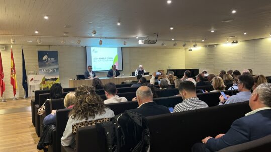 LAS DENOMINACIONES DE ORIGEN DE VINO INTENSIFICAN ESFUERZOS