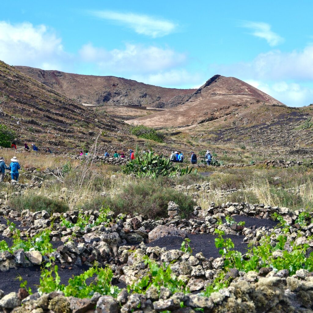 Sendero Bodega Rocanegra (19)