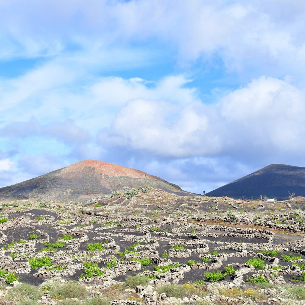 Sendero Bodega Rocanegra (23)