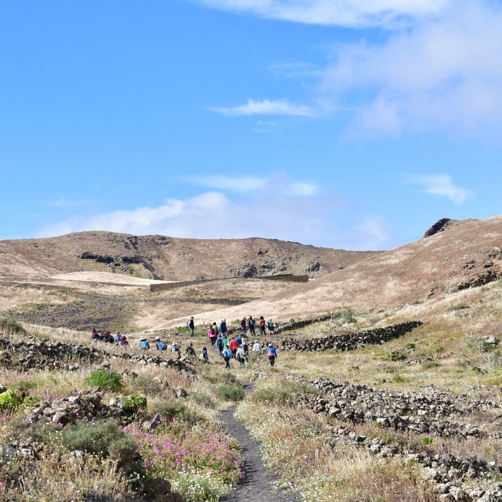 Sendero Bodega Rocanegra (24)
