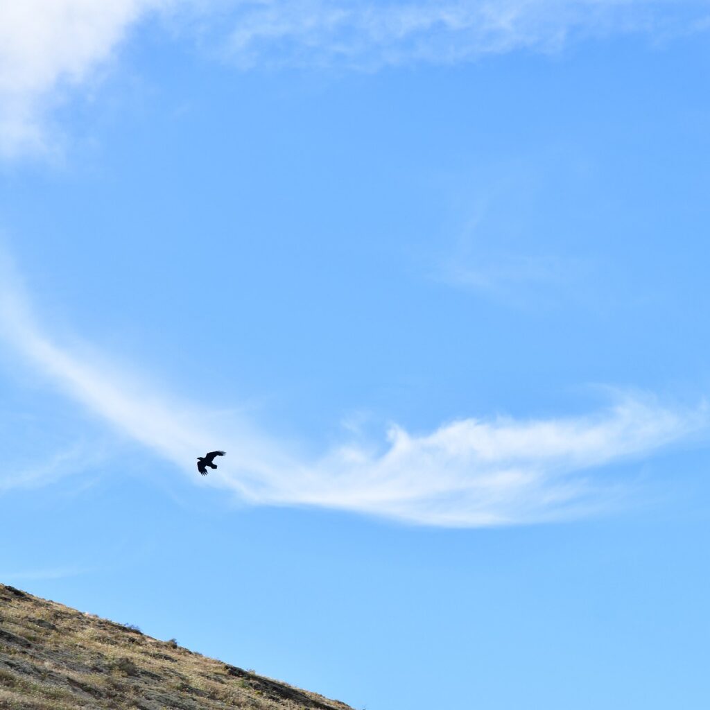 Sendero Bodega Rocanegra (27)