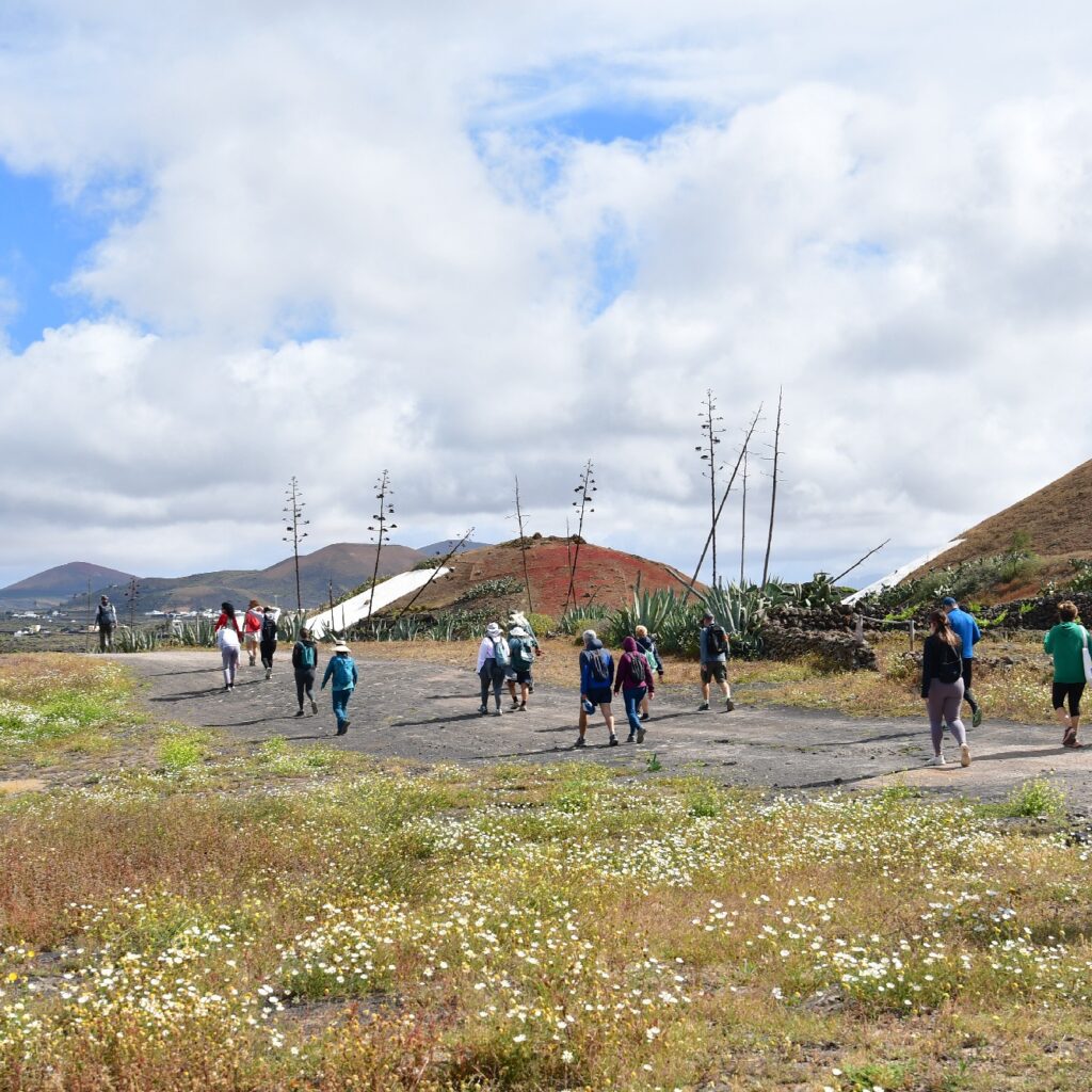 Sendero Bodega Rocanegra (44)