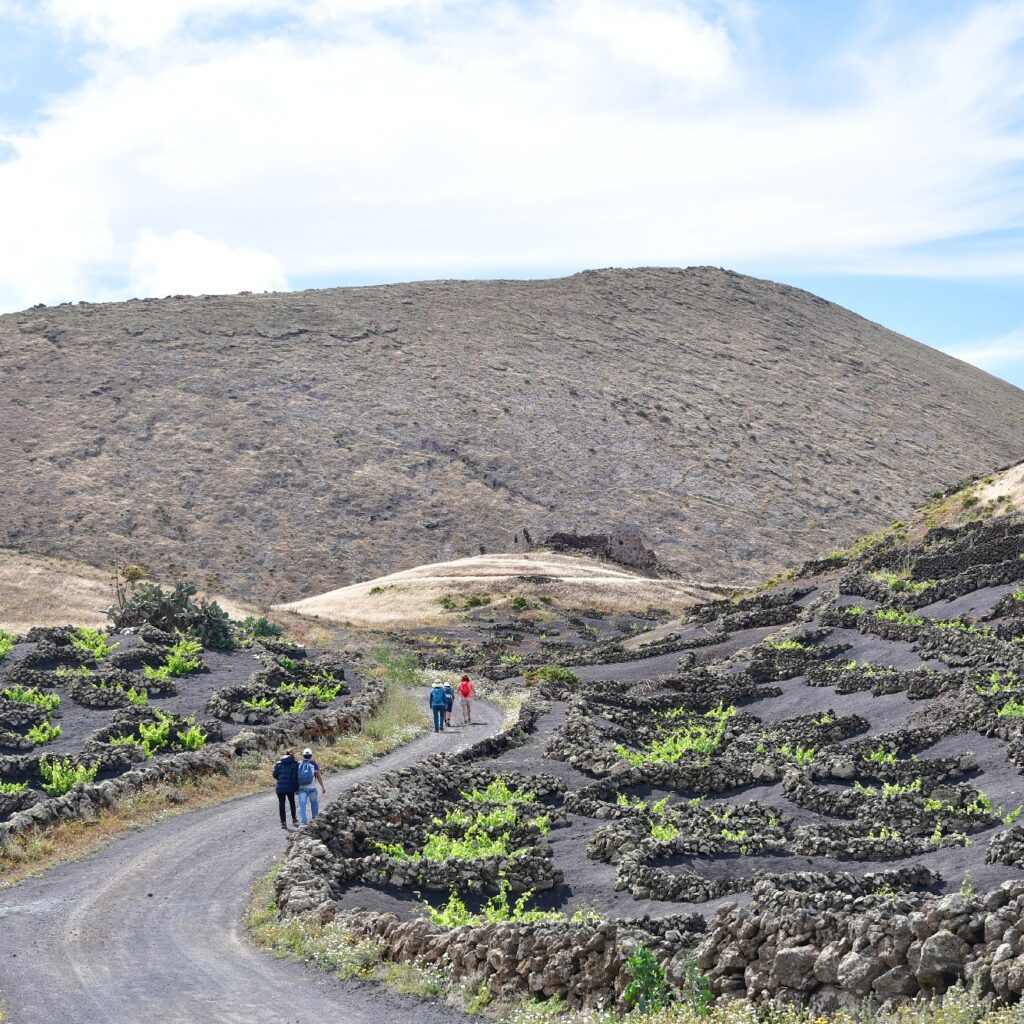 Sendero Bodega Rocanegra (55)