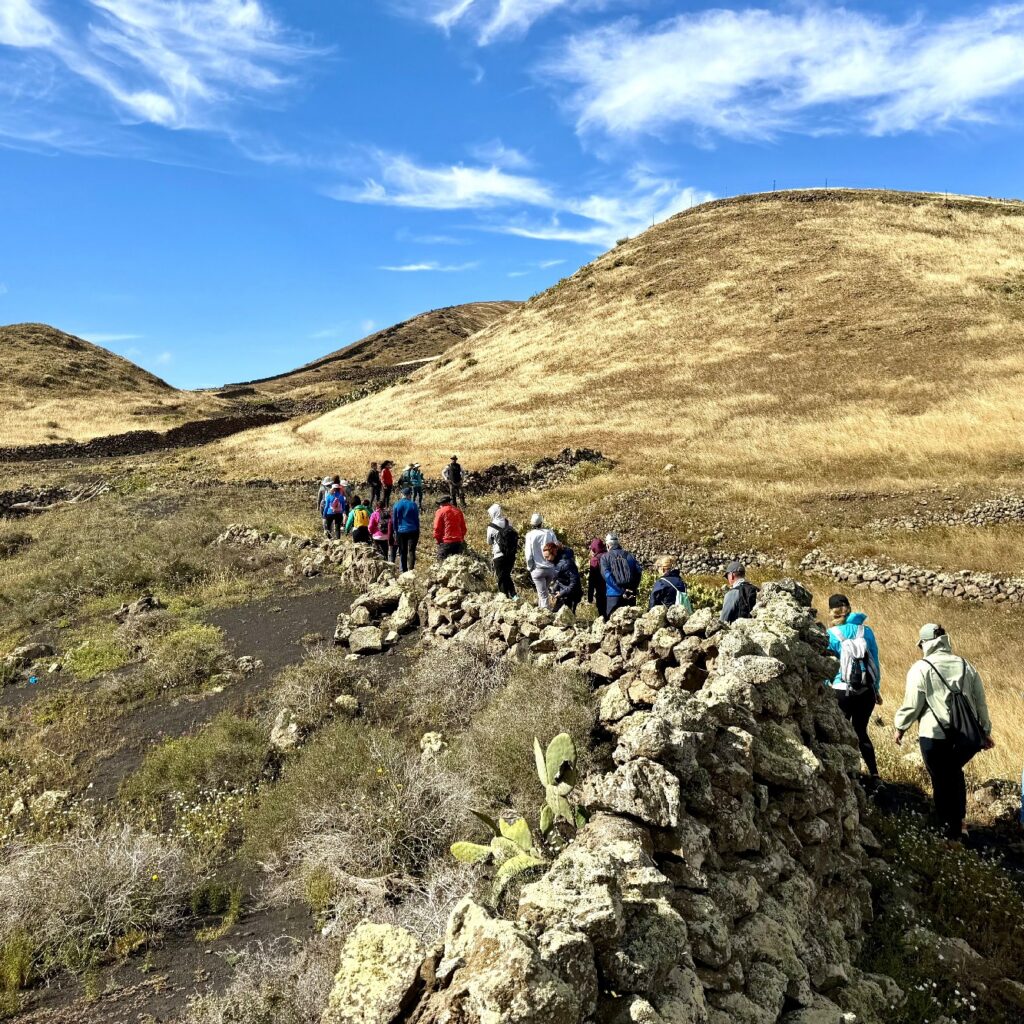 Sendero Bodega Rocanegra (6)