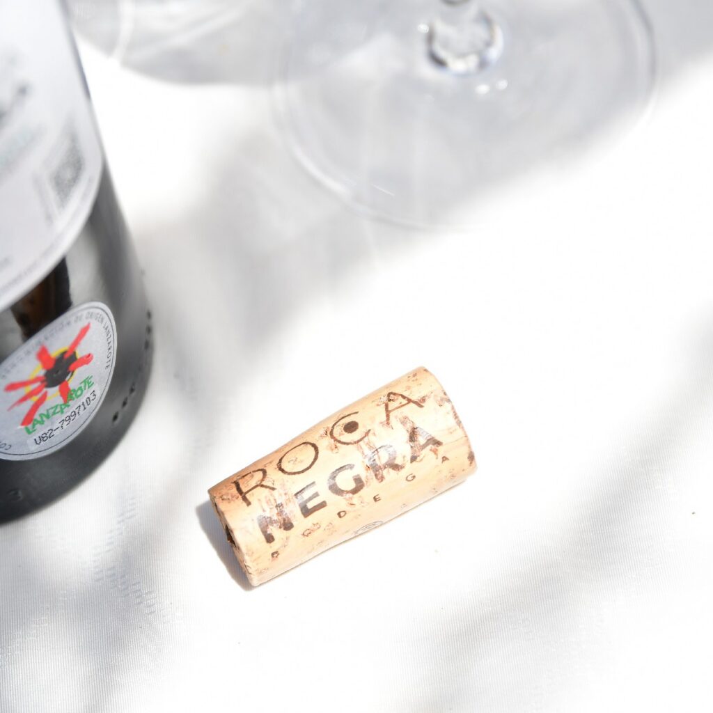visita Bodega Rocanegra (104)