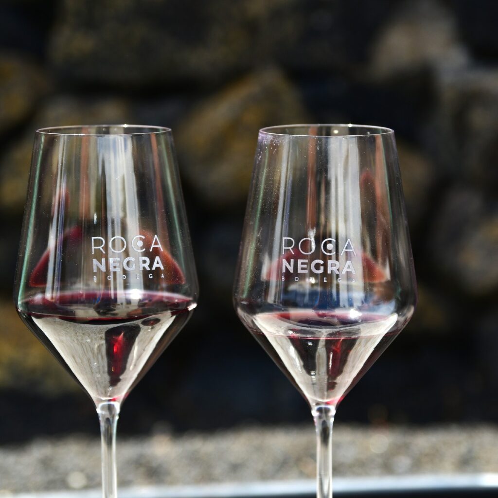 visita Bodega Rocanegra (107)