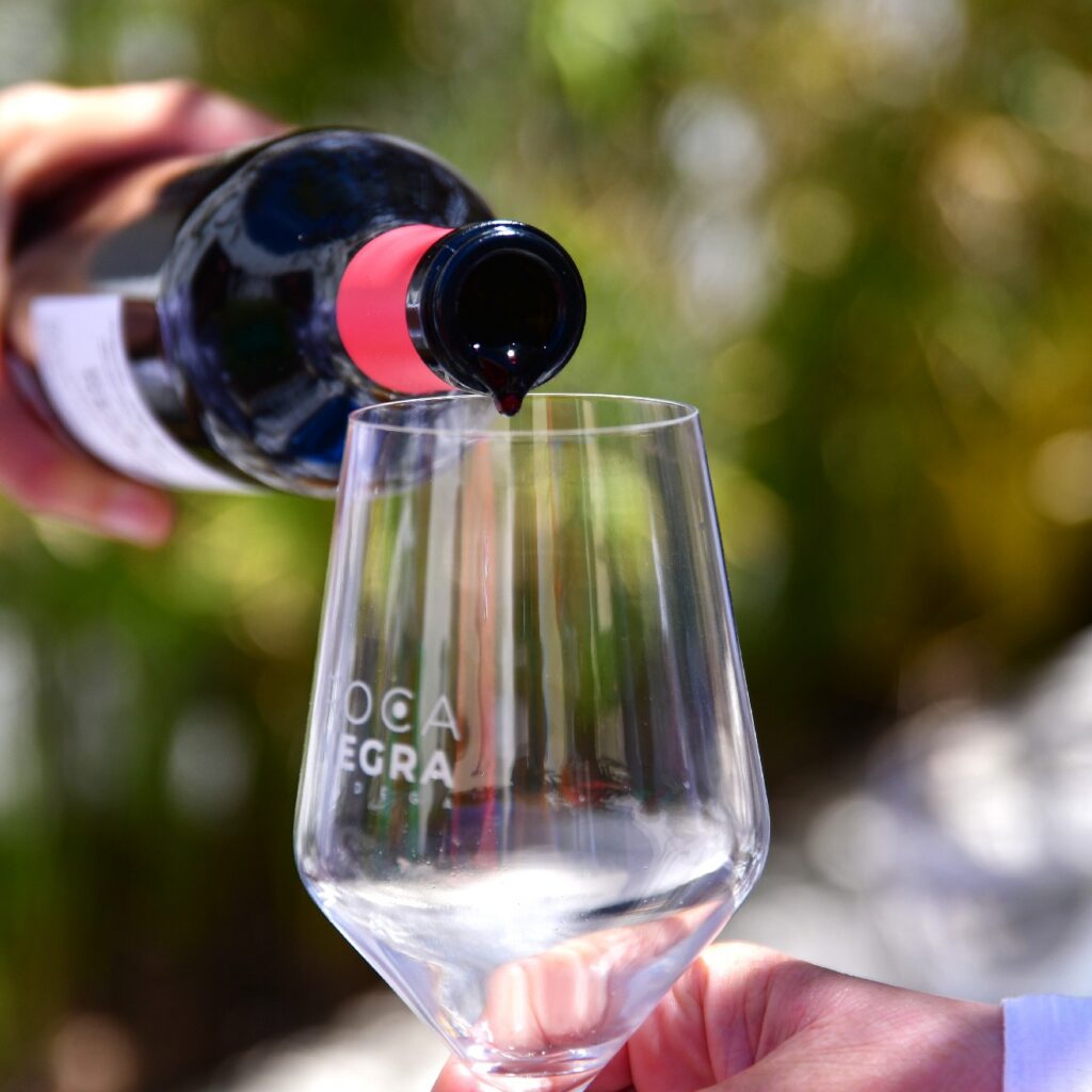 visita Bodega Rocanegra (122)