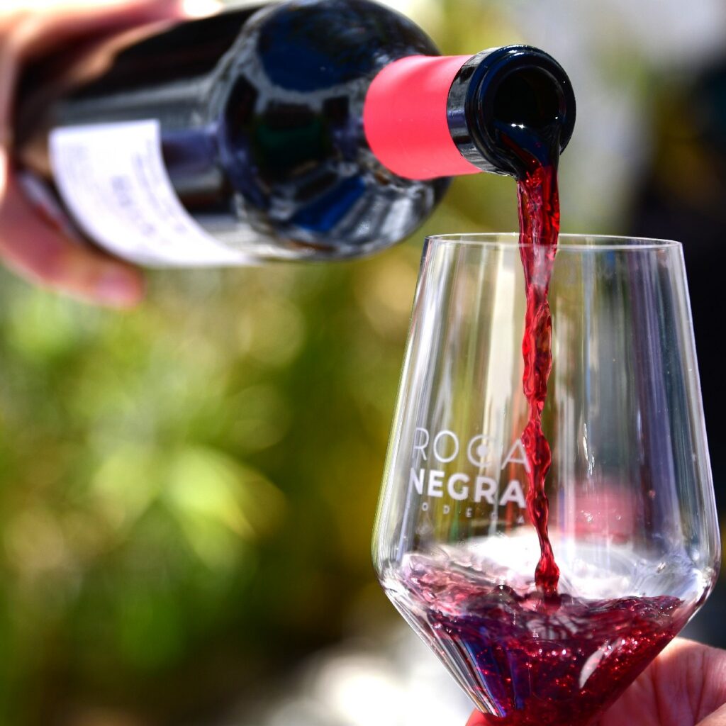 visita Bodega Rocanegra (123)
