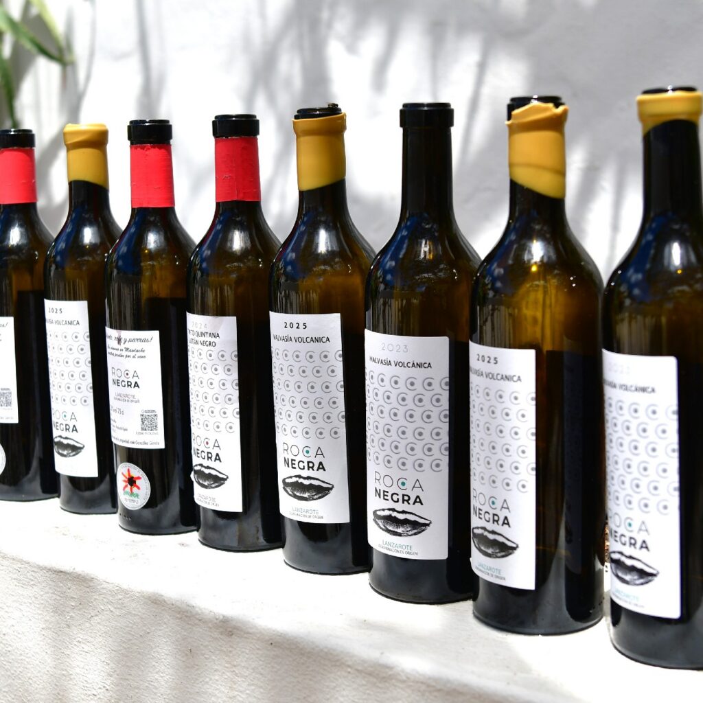 visita Bodega Rocanegra (124)