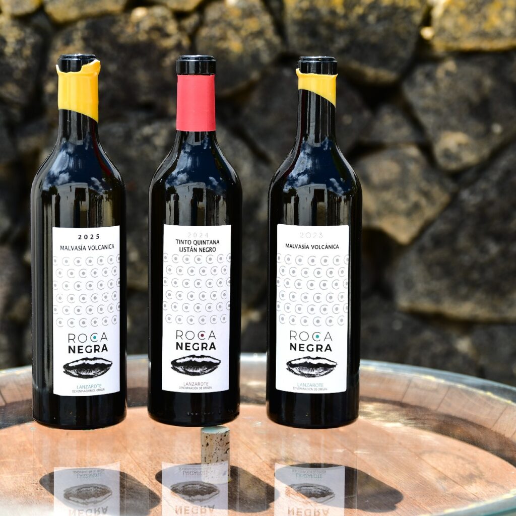 visita Bodega Rocanegra (126)