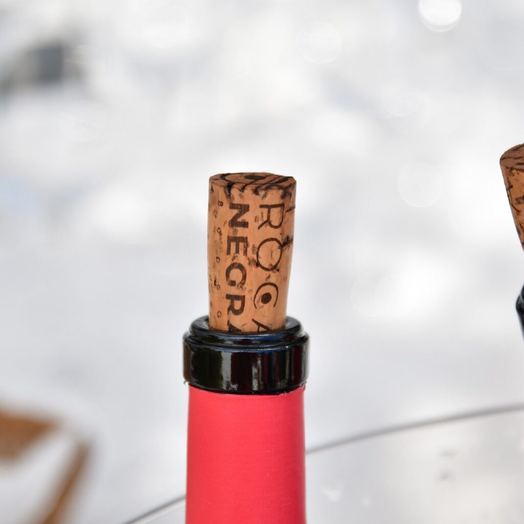visita Bodega Rocanegra (18)