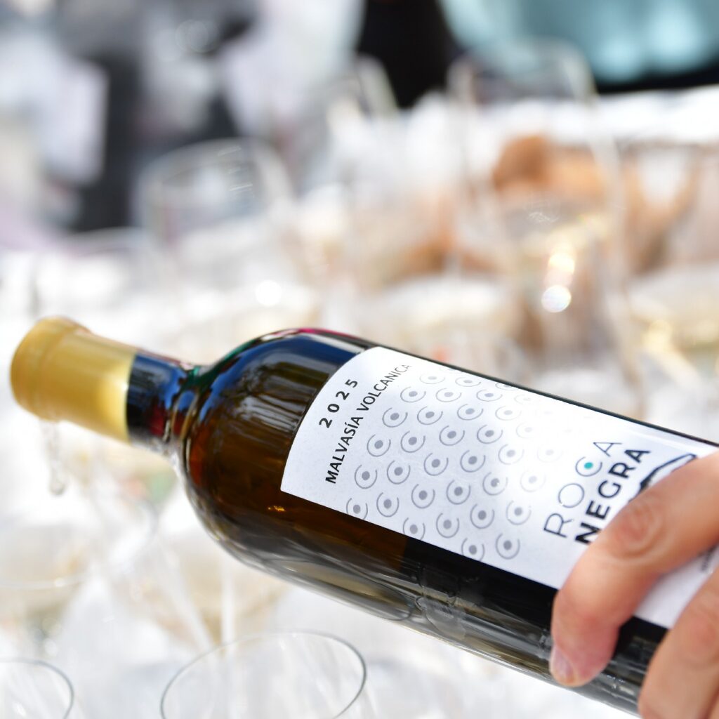 visita Bodega Rocanegra (37)