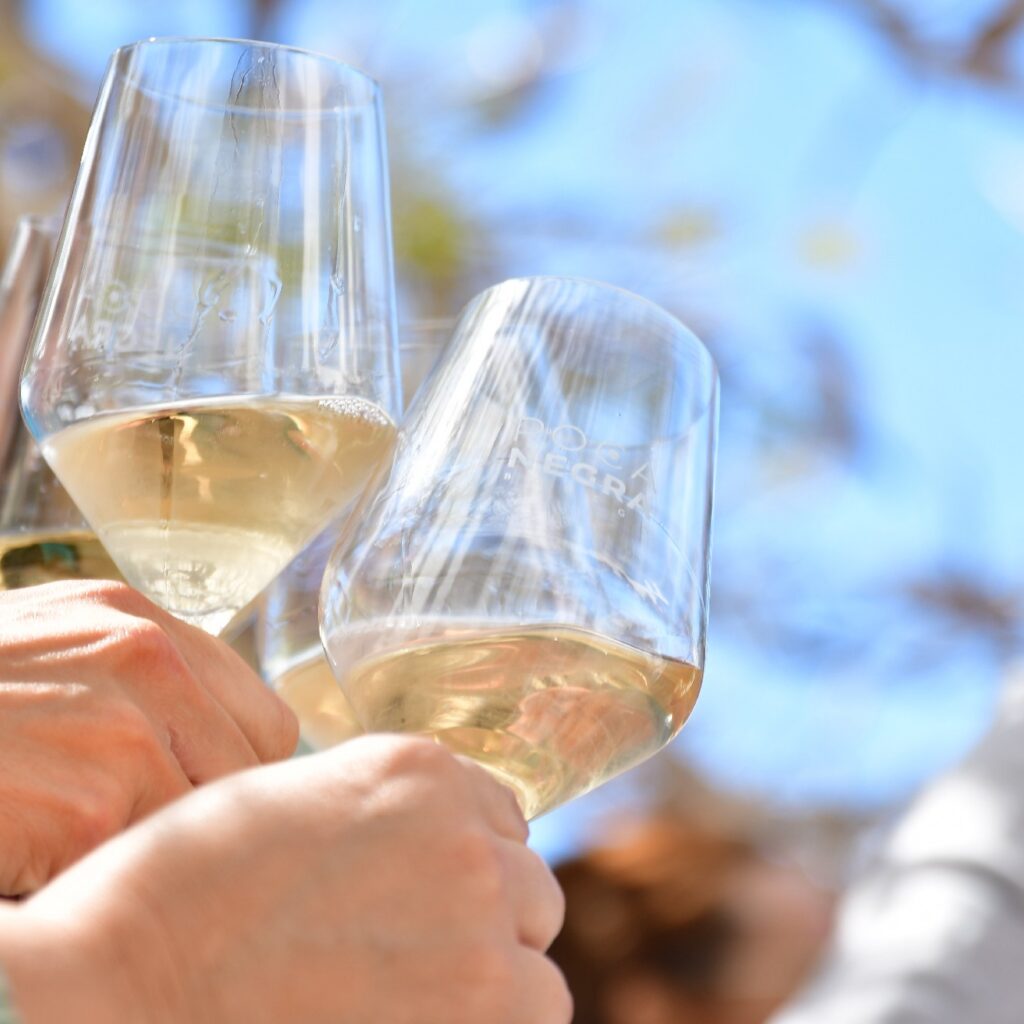 visita Bodega Rocanegra (39)