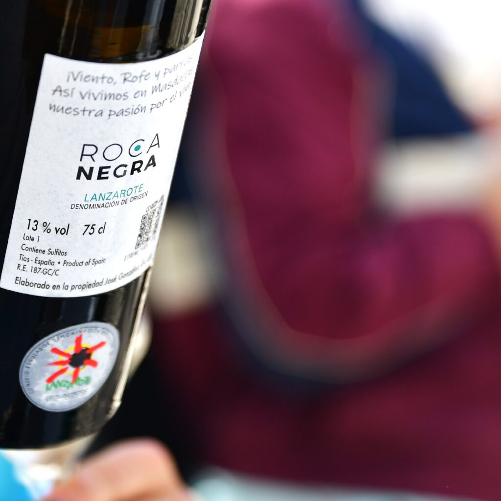 visita Bodega Rocanegra (44)