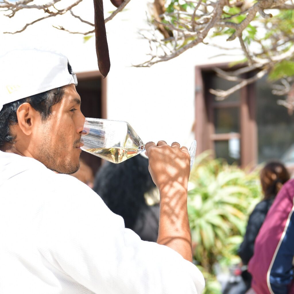 visita Bodega Rocanegra (45)