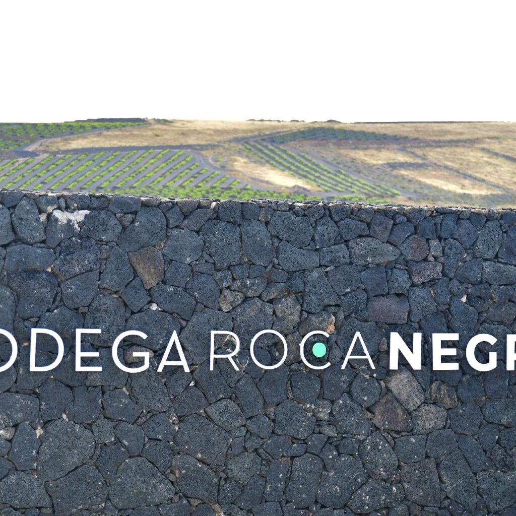 visita Bodega Rocanegra (56)