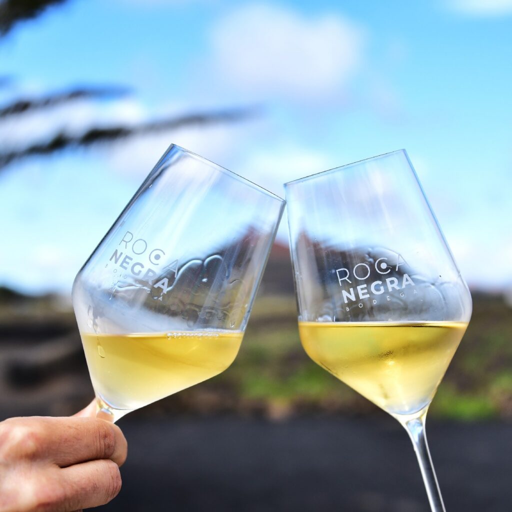 visita Bodega Rocanegra (74)