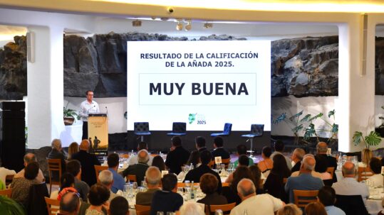 La añada 2025 de Vinos de Lanzarote se califica como “muy buena”.