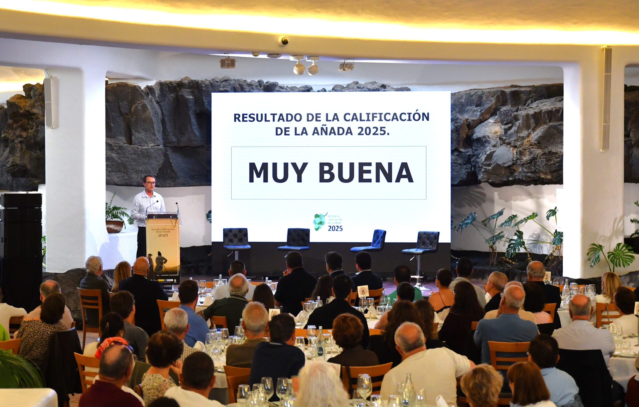 La añada 2025 de Vinos de Lanzarote se califica como “muy buena”.