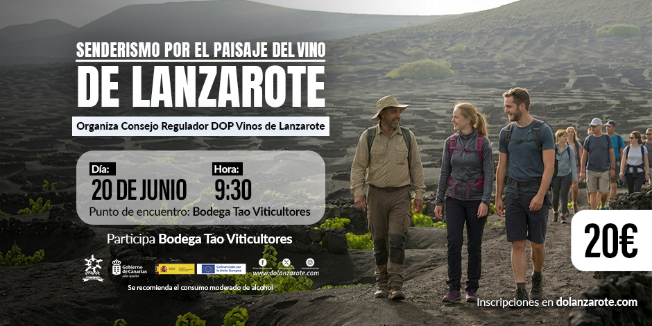 Senderismo por el paisaje del vino Tao Viticultores