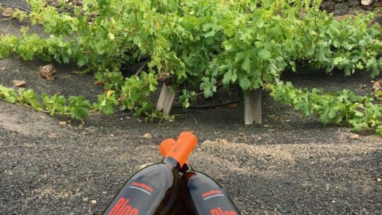 Bodegas Martinón logra una Medalla de Oro en el Concurso Nacional de Vinos de Pequeñas D.O.'s