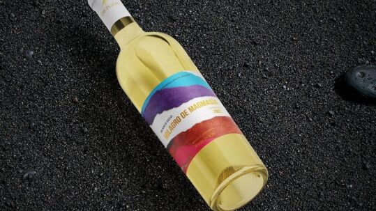 El Consejo Regulador de la D.O. Vinos de Lanzarote celebra este reconocimiento obtenido en el Brazil Wine Challenge